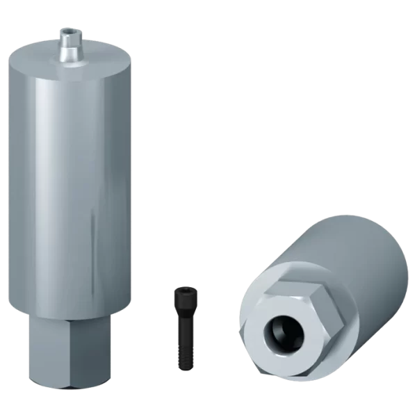 Custom abutment draft + screws
