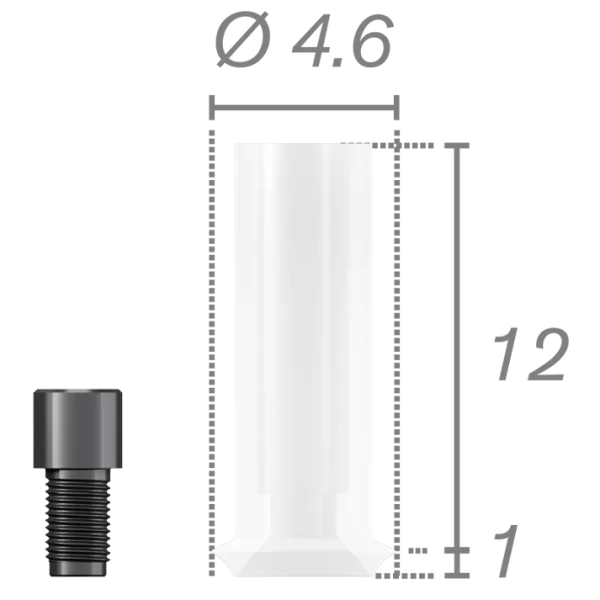 Rotational castable coping + screw for Plural abutment