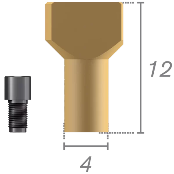 Scanbody on Plural abutment + screws