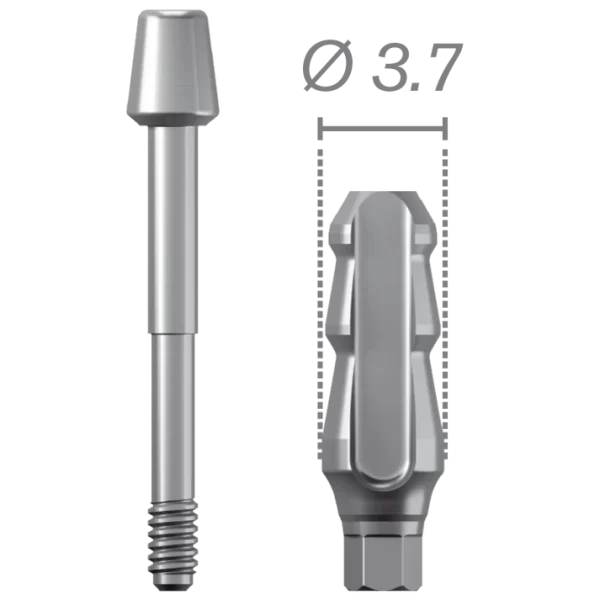 Transfer (closed sky technique) + screws