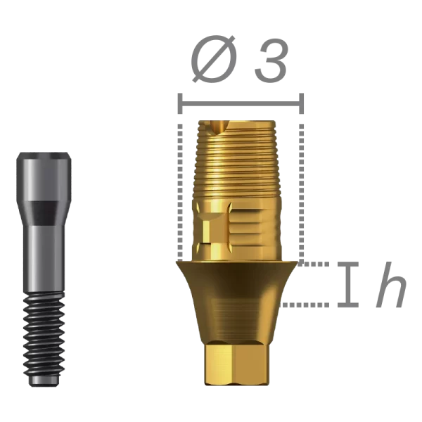 Anti-rotational titanium interface + screw